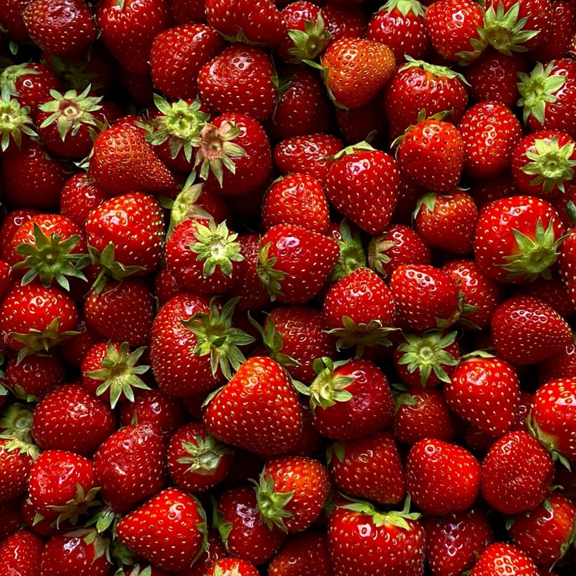 Collection fraise des bois