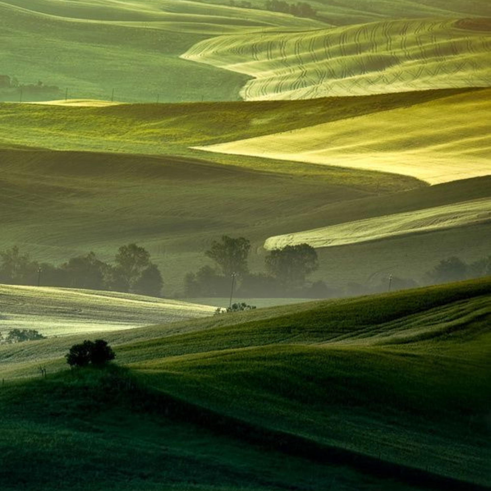 Collection toscane