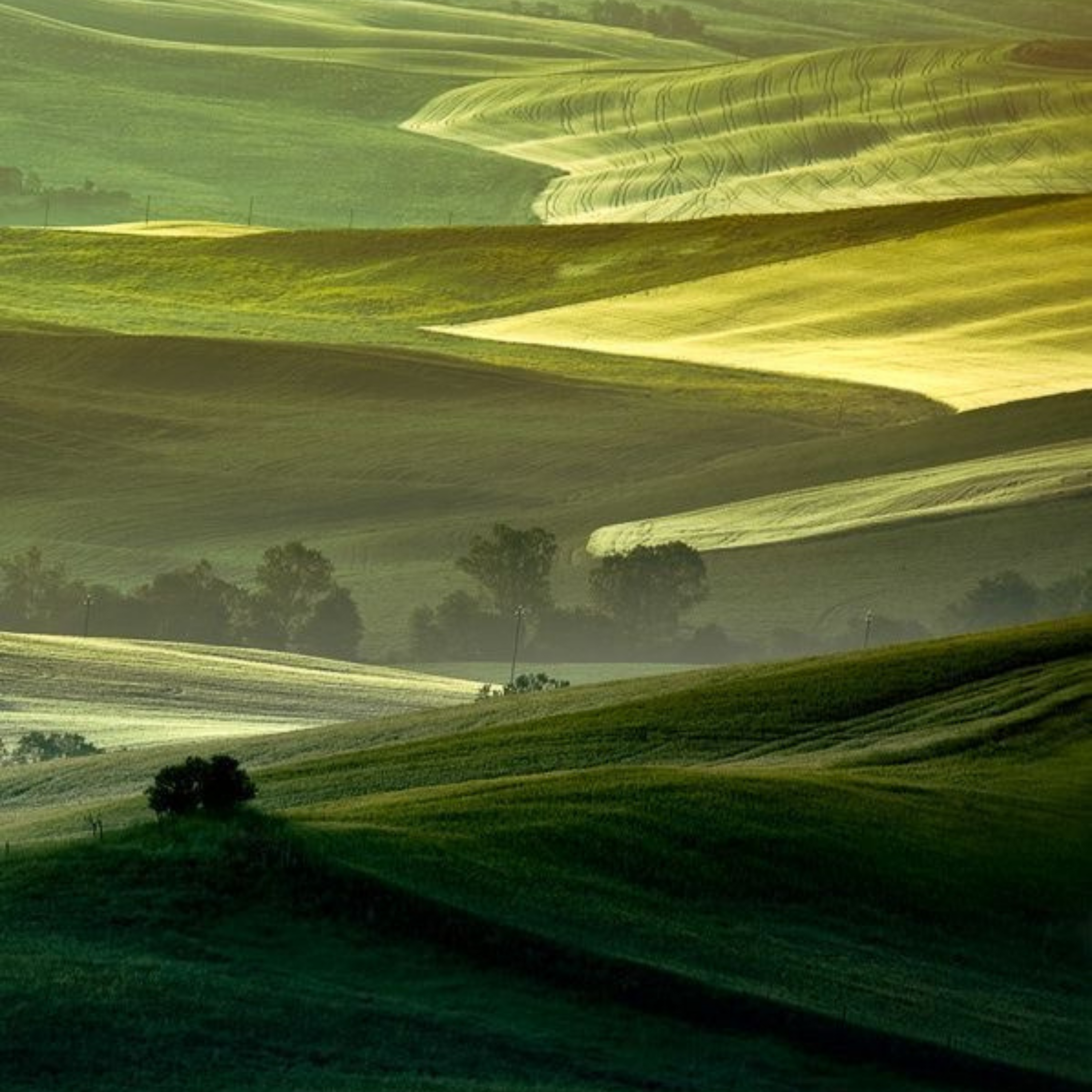 Collection toscane